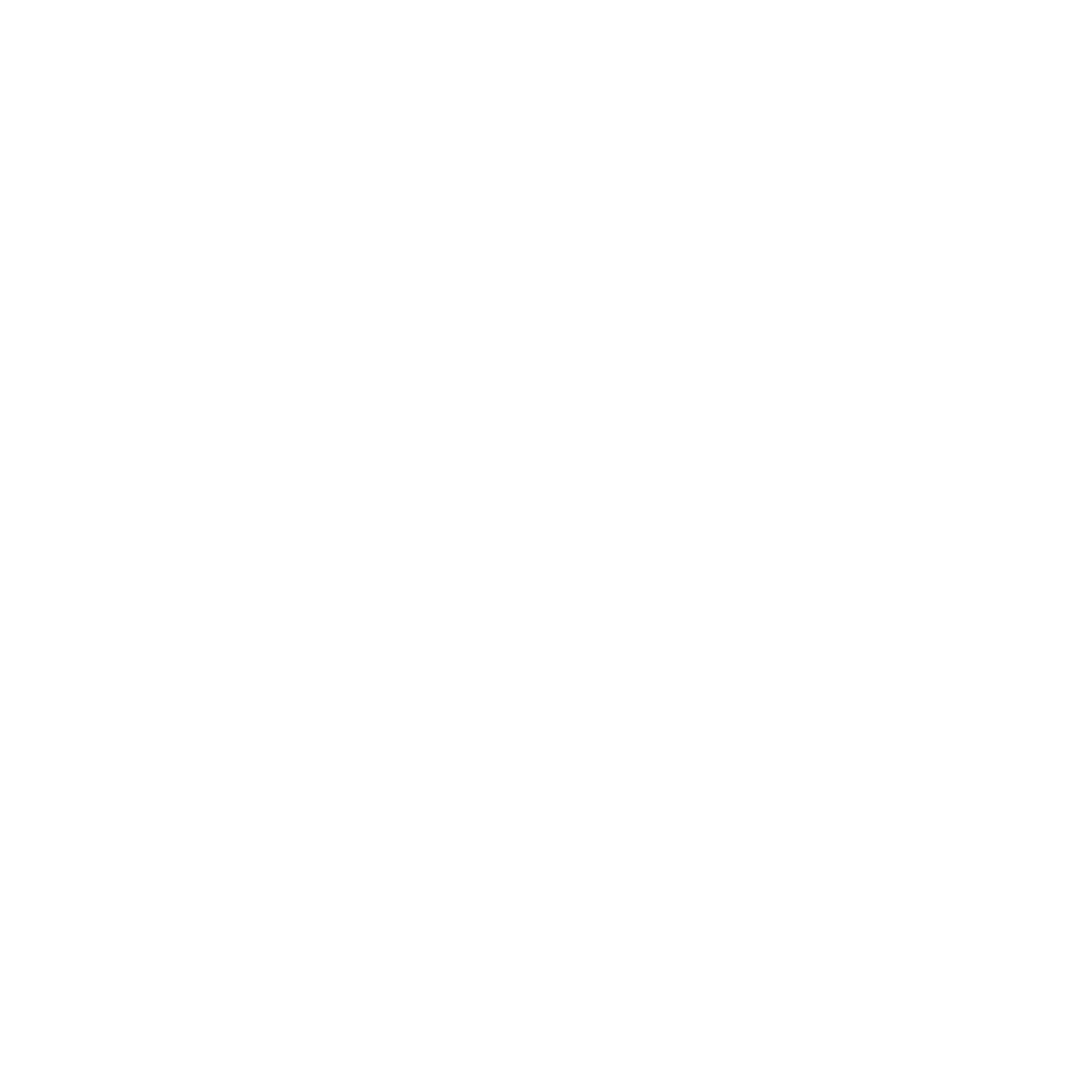Salt and Light Media logo
